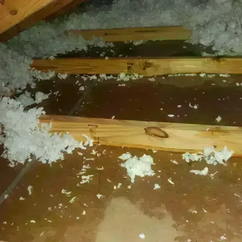 Attic Water Damage in McLendon-Chisholm, TX